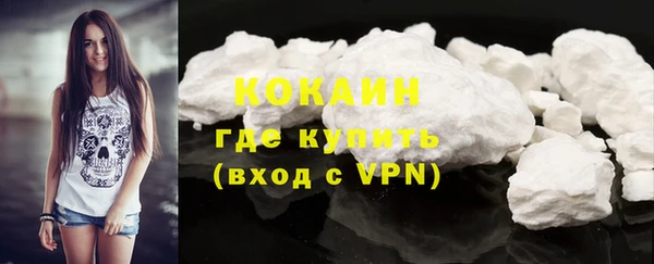 индика Липки