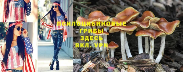 mdma Протвино