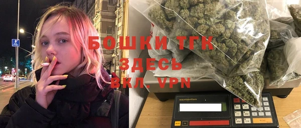 индика Липки