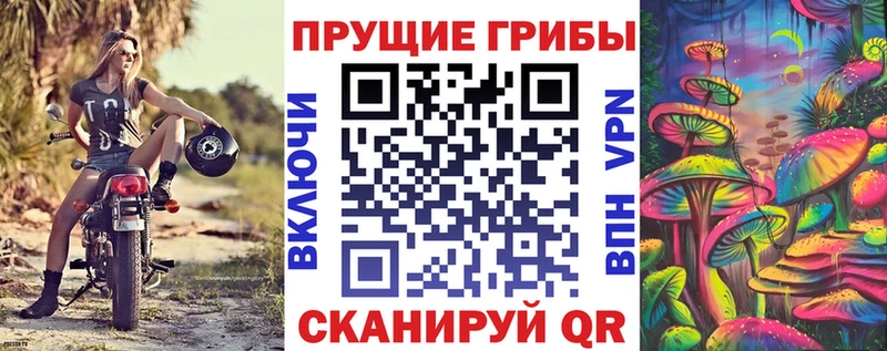 мега ССЫЛКА  даркнет сайт  Сокол  Галлюциногенные грибы Magic Shrooms 