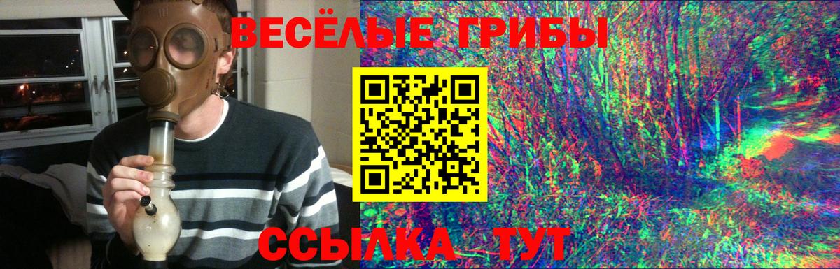 Галлюциногенные грибы мухоморы Сокол